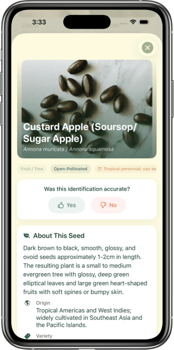 Seed Identifier App Interface